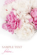 Beautiful peony flowers