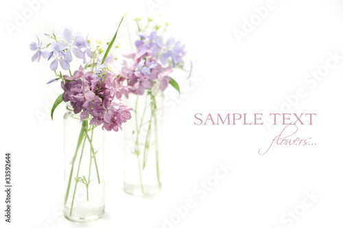 Photo: Beautiful spring flowers Beautiful spring flowers