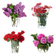 Set of flowers