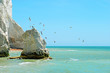 white chalk cliff with birds