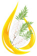 Melaleuca - tea tree.  Stylized drop of essential oil.