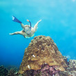 Diver