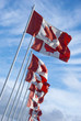 Canadian Flags