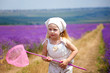 lavender field lavender field