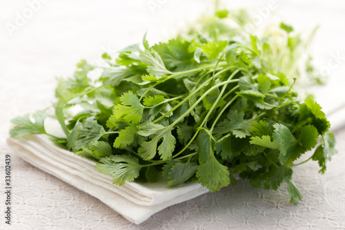 Photo: Fresh coriander Fresh coriander