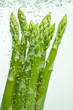 Grüner Sparkel im Wasser