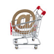 Online shopping. Clipping path included.
