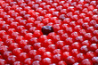 Black big cherry among small red cherries