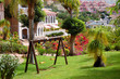 Swing on the green lawn at luxury hotel, Tenerife island, Spain