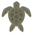 Green Sea Turtle