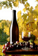bottiglia di vino rosso con uva
