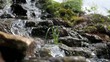 Creek Creek