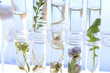 Biotechnologie