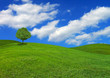 Alone on a Summers Day