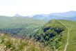 Pentes du Puy Violent, Cantal