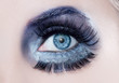 blue eye fashion makeup closeup macro winter black blue eye fashion makeup closeup macro winter black