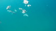 Fish Underwater Swimming Free Fish Underwater Swimming Free