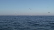 Seabirds Diving for Fish Seabirds Diving for Fish