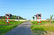 railway crossing in nature railway crossing in nature