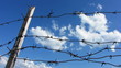 Wooden pole with a prickly wire on a background of the sky.