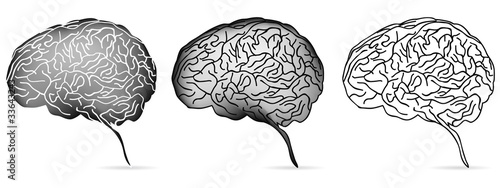 Vector: set of head profile with brain isolated on white set of head profile with brain isolated on white
