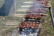 cottura arrosticini