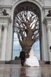 the wedding