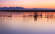Photo: paisaje magenta paisaje magenta