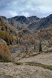 alpe bardoney