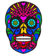 colorful skull