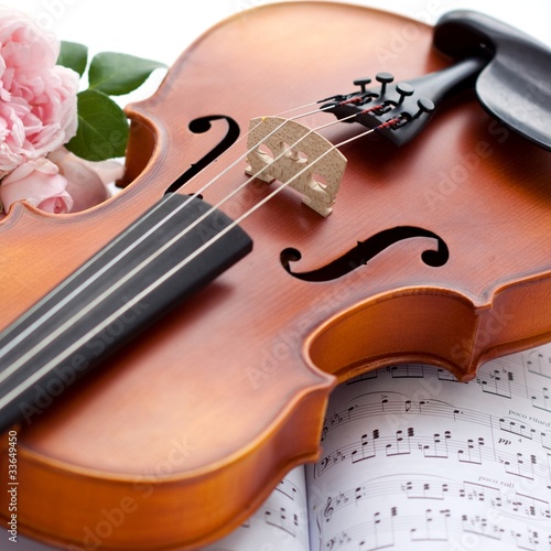 Photo: Violin mit Rose Violin mit Rose