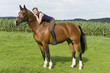Reiten