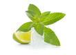 Mint, lime and ice cube isolated on white background