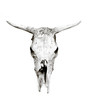 Cow skull