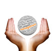 Ball in Hands - Management