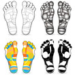 Thai foot massage chart isolated on white background