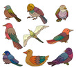 cartoon bird icon.