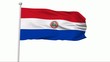 Fahne Paraguay NTSC