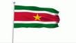 Fahne Suriname PAL