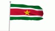 Fahne Suriname NTSC