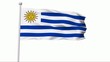 Fahne Uruguay PAL