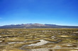 Peruvian Plains