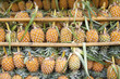 pineapple on the market