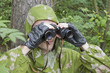 Photo: The observer in the woods The observer in the woods