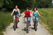 Family riding bikes