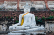 White buddha statue in Ayutthaya province White buddha statue in Ayutthaya province