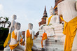 Group of white buddha statue in Ayutthaya province Group of white buddha statue in Ayutthaya province
