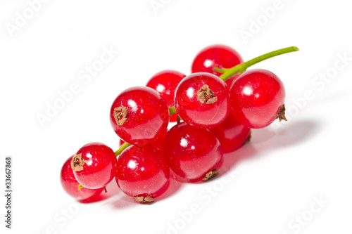 Photo: Johannisbeeren Johannisbeeren