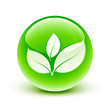 icône plante nature / leaves icon icône plante nature / leaves icon
