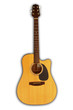 acoustic guitar - cutaway acoustic guitar - cutaway